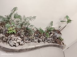 -康颜SPA自然疗愈皮肤管理中心