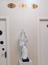 -紫洁俪方（北京）医疗美容