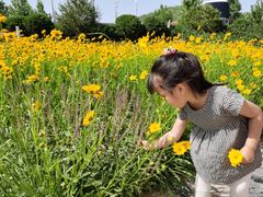 -君乐宝优致牧场