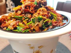 -秀儿四九城·新京菜(亚运村鸟巢店)