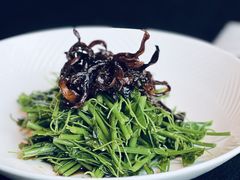 -醉东Oriental House(静安嘉里中心店)