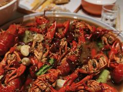 -杨氏青龙虾·羊蝎子(托乐嘉店)