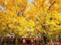 -四川大学(望江校区)