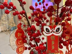 点击看大图 -致友月子会所(麓湖店)