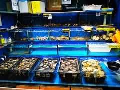 -岳各庄批发市场(西四环中路店)