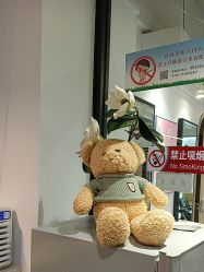 -LJOY丽锦造型·烫发染发