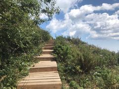 -白草畔自然风景区