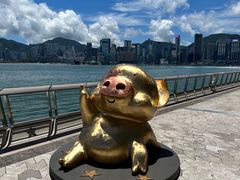 -星光大道