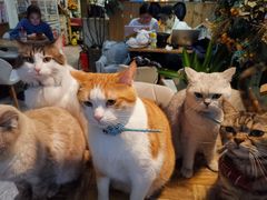 -小时光咖啡馆(北锣鼓巷店)