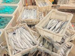 -王四营海鲜市场
