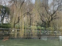 -运河游船(武林门码头)