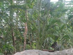 -龙达温泉生态城