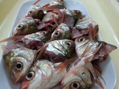 android_upload_pic-秦记南岗鱼锅(珠吉路店)