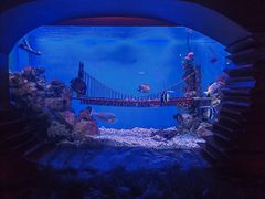 -太平洋海底世界