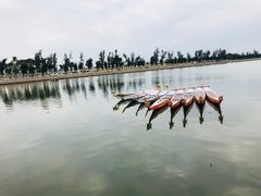 -龙舟池