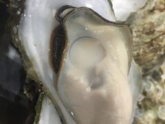 -蚝哥花姐湛江烤生蚝(美丽湾市场店)
