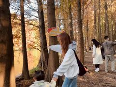 -上海海湾国家森林公园