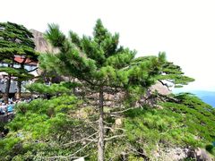 -黄山风景区