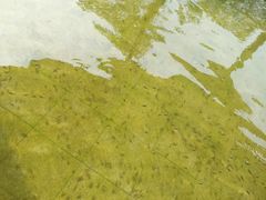 -咸宁万豪温泉谷度假区