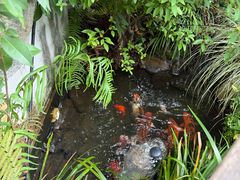 -深夜食堂(永康南路店)