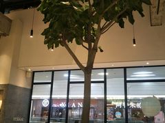 -大树餐厅(红旗街万达店)