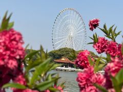 -无锡蠡湖国家湿地公园-蠡园