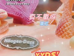 -哈根达斯(芳圆里店)