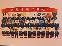 -青稚护手霜QINGZHI