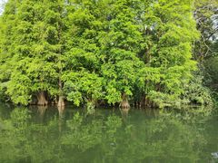 -广州市白云山风景名胜区