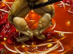-麻田会 ·鲜活现烹·牛蛙火锅(珠江新城维家思广场店)
