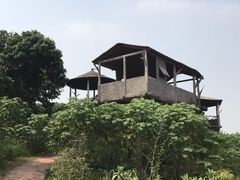 -松山湖梦幻百花洲