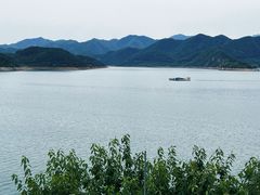-望湖烤鱼