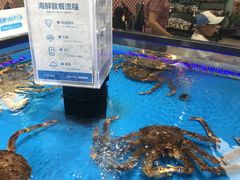 -盒马鲜生(联投广场店)