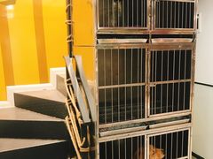 -帕帕拉兹宠物(亚洲旗舰店)