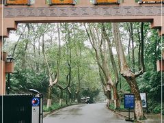 -灵谷景区