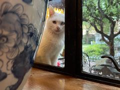 -马勒别墅·中餐厅