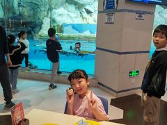 -帝企鹅自助餐厅•儿童岛•真企鹅(长隆企鹅酒店)