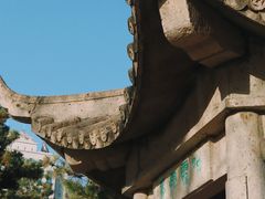 -团结湖公园