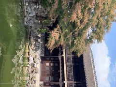 -何园