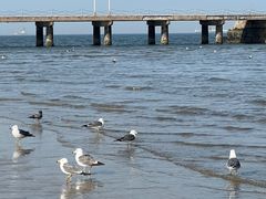 -ChanDu躔度咖啡(灯塔店)