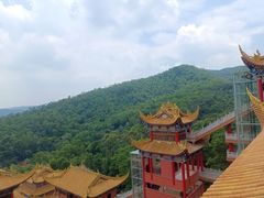 -东莞市大岭山森林公园