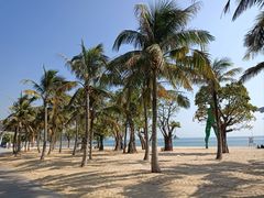 -大梅沙海滨公园