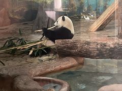 -南宁市动物园