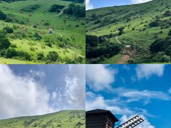 -大姆山草场