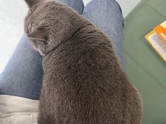 -佳怡动物医院·平价24小时·猫专科骨外科