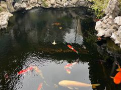 -鲤院·新中式美学·庭院餐厅(夫子庙店)