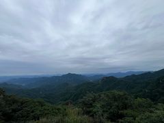 -六里坪国家森林公园