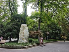 -灵谷景区