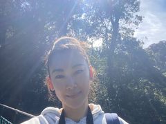 -云南屏边大围山国家公园