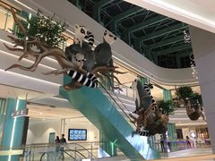 -大族广场Mall&More